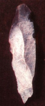 1050-1.jpg