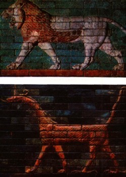 1160-2.jpg