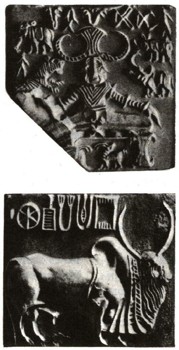 1190-1.jpg