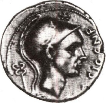 1350-5.jpg
