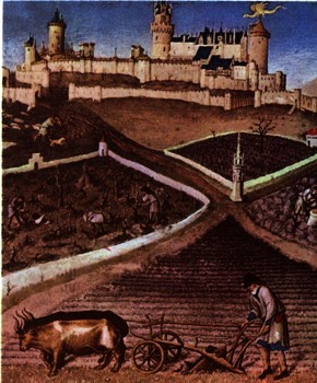 1460-1.jpg