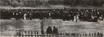 2730-1.jpg